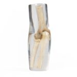 X-Ray Phantom Lower Arm, transparent