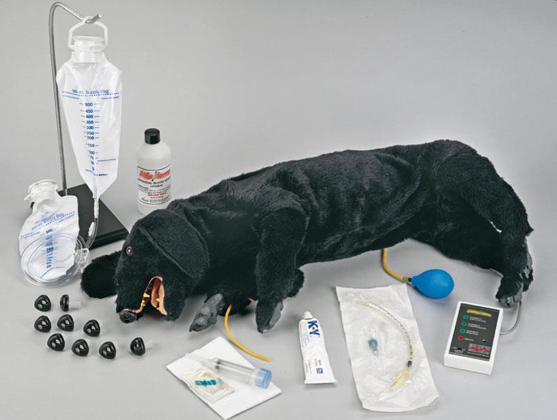 VET2550_1amvKCVyPaG7Up.jpg Canine Hip - Görsel 1