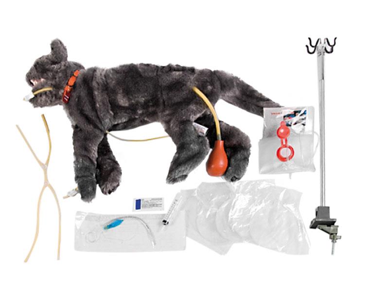 VET4110_1mWGRbK5Il4GqI.jpg Feline Jaw - Görsel 1